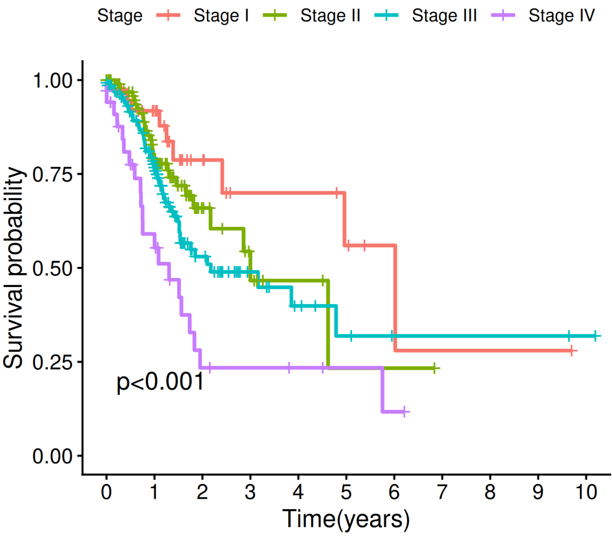 Discrete Survival Analysis